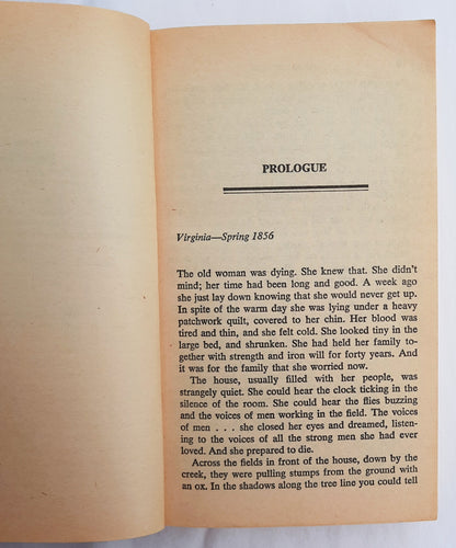 The Blue and the Gray by John Leekley (Good, 1982, 303 pages, Dell Fiction)