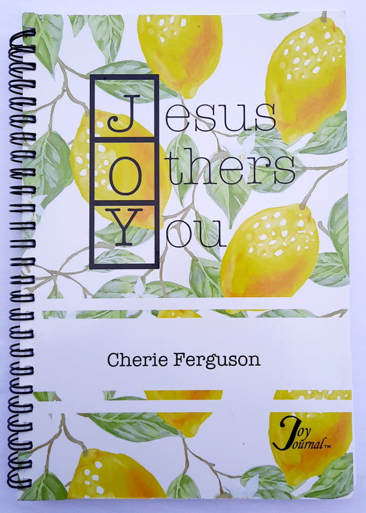 JOY: Jesus Others You Joy Journal by Cherie Ferguson (Very good, 2015, Spiral Pbk, 172 pages)