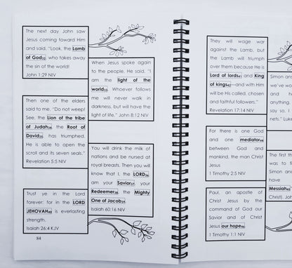 JOY: Jesus Others You Joy Journal by Cherie Ferguson (Very good, 2015, Spiral Pbk, 172 pages)