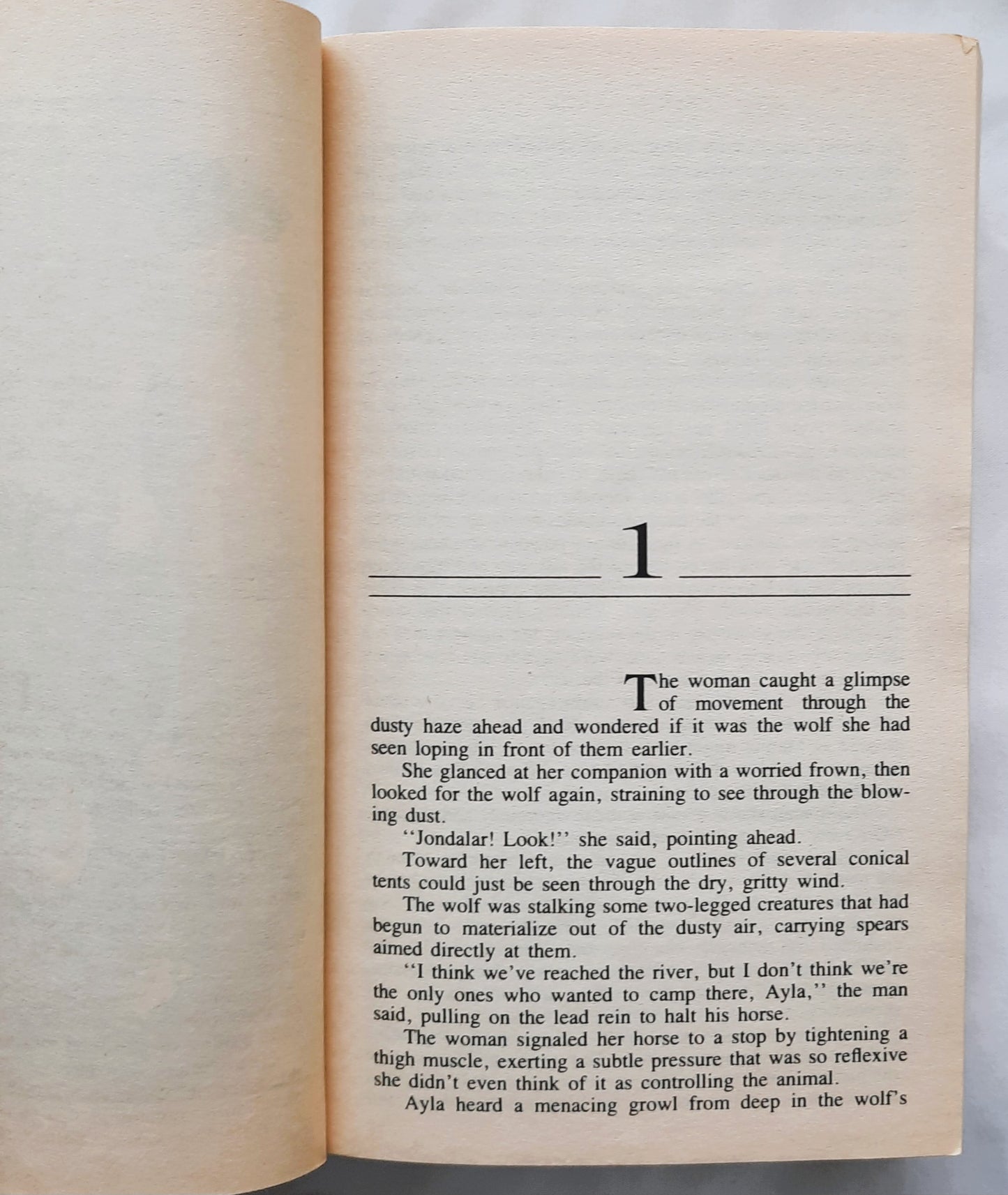 The Plains of Passage #4 by Jean M. Auel (Earth's Children, Very Good, 1991, Pbk, 868 pages, Bantam)