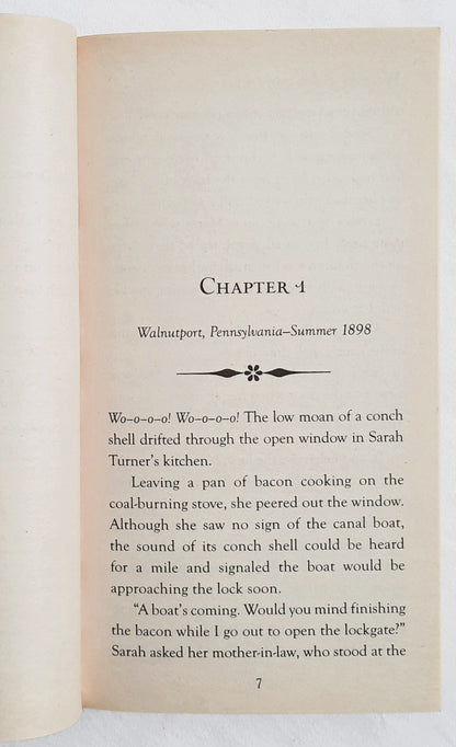 Sarah's Choice by Wanda E. Brunstetter (Brides of Lehigh Canal #3, New, 2018, Pbk, 288 pages, Barbour)