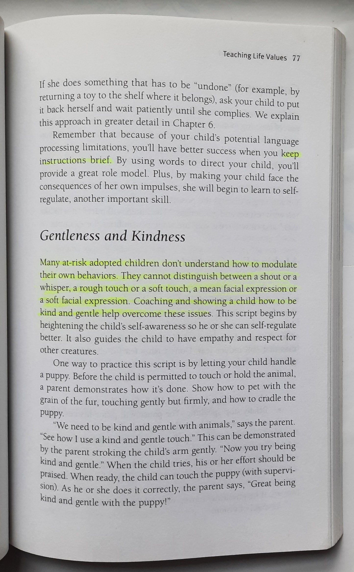 The Connected Child: Bring Hope and Healing to Your Adoptive Family by Karyn B. Purvis; David R. Cross; Wendy Lyons Sunshine (Very Good, 2007, Pbk, 264 pages, McGraw Hill)