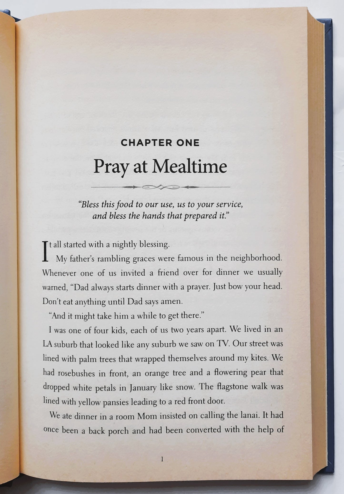 10 Prayers You Can't Live Without by Rick Hamlin (Good, 2013, HC, 240 pages, Guideposts)