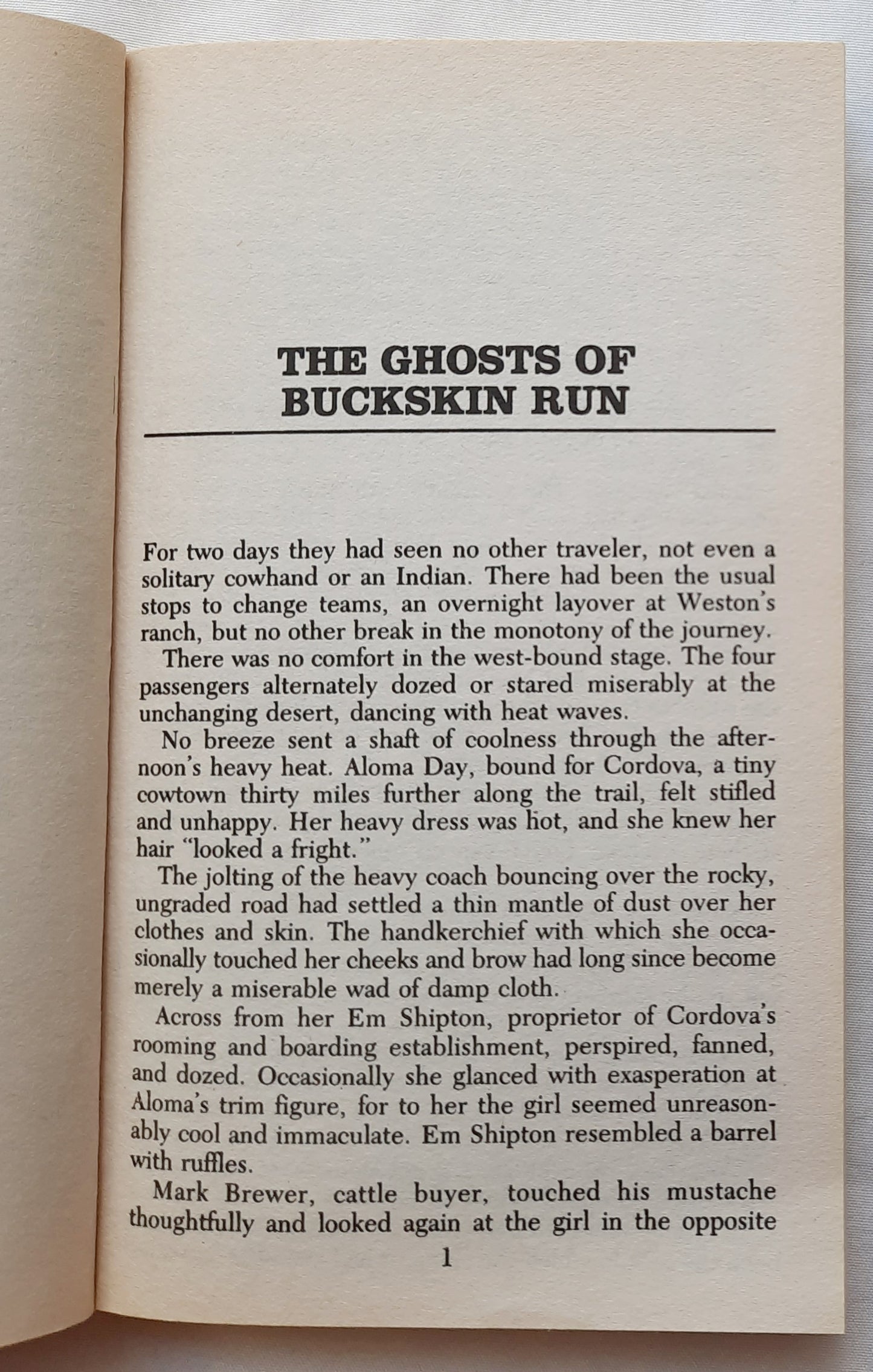 Buckskin Run von Louis L'Amour (Sehr gut, 1981, Taschenbuch, 175 Seiten, Bantam Books)