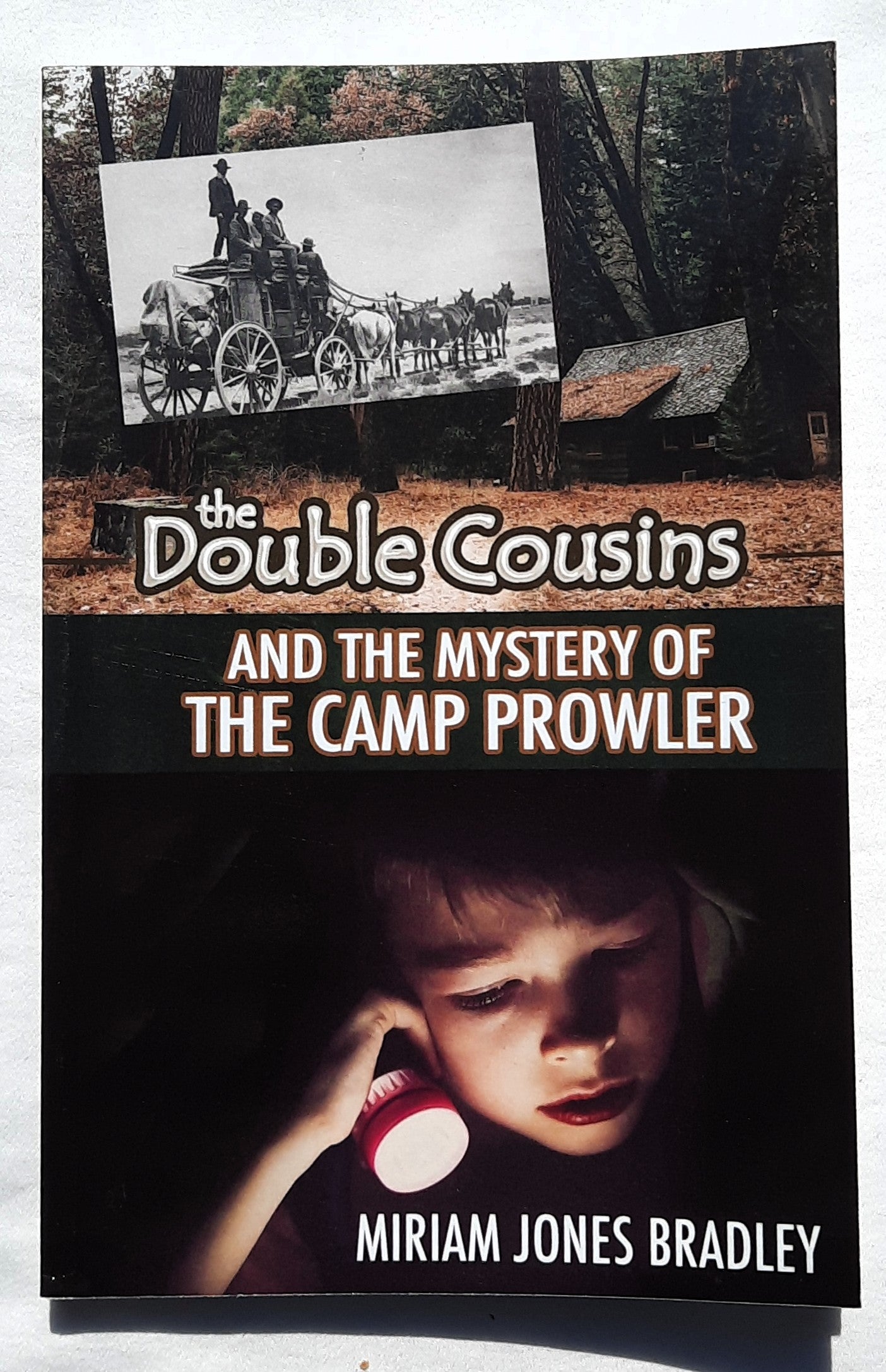 The Double Cousins and the Mystery of the Camp Prowler by Miriam Jones Bradley (New, 2020, Pbk, 148 pages, Ambassador Int'l.)