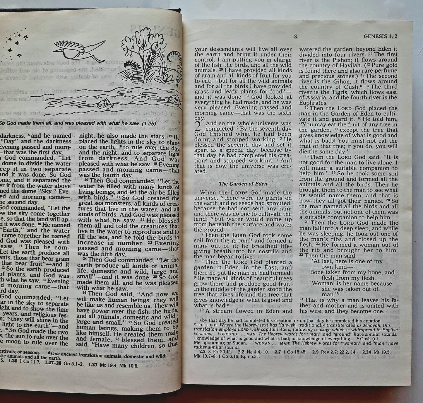 TEV Good News Bible (Today's English Version, Very good, 1982, HC, 412 pages, American Bible Society)