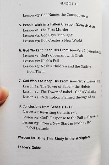 Theology Of Work Genesis 1-11 Bible Study (New, 2014, Pbk, 96 pages, Hendrickson)