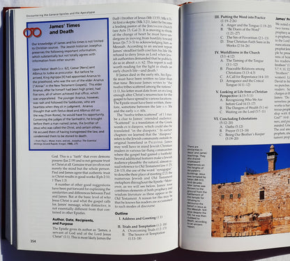 EBS Begegnung mit dem Neuen Testament: Eine historische und theologische Übersicht von Walter A. Elwell; Robert W. Yarbrough (Sehr gut, 1997, HC, 448 Seiten, Baker Books)