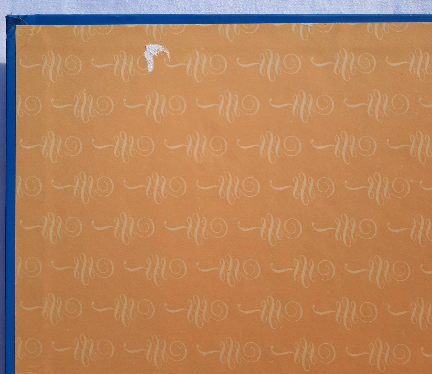 Our White House: Looking In, Looking Out by Candlewick Press (Good, 2008, HC, 242 pages)