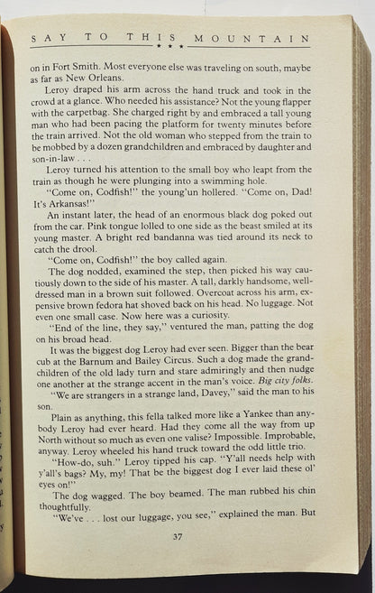 Say to This Mountain by Bodie Thoene (Shiloh Legacy #3, Good, 1993, Pbk, 447 pages, Bethany House)