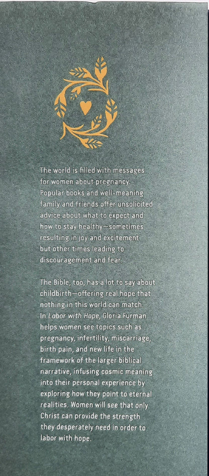 Labor with Hope: Evangelische Meditationen über Schwangerschaft, Geburt und Mutterschaft von Gloria Furman (Neu, 2019, gebunden, 160 Seiten, Crossway)