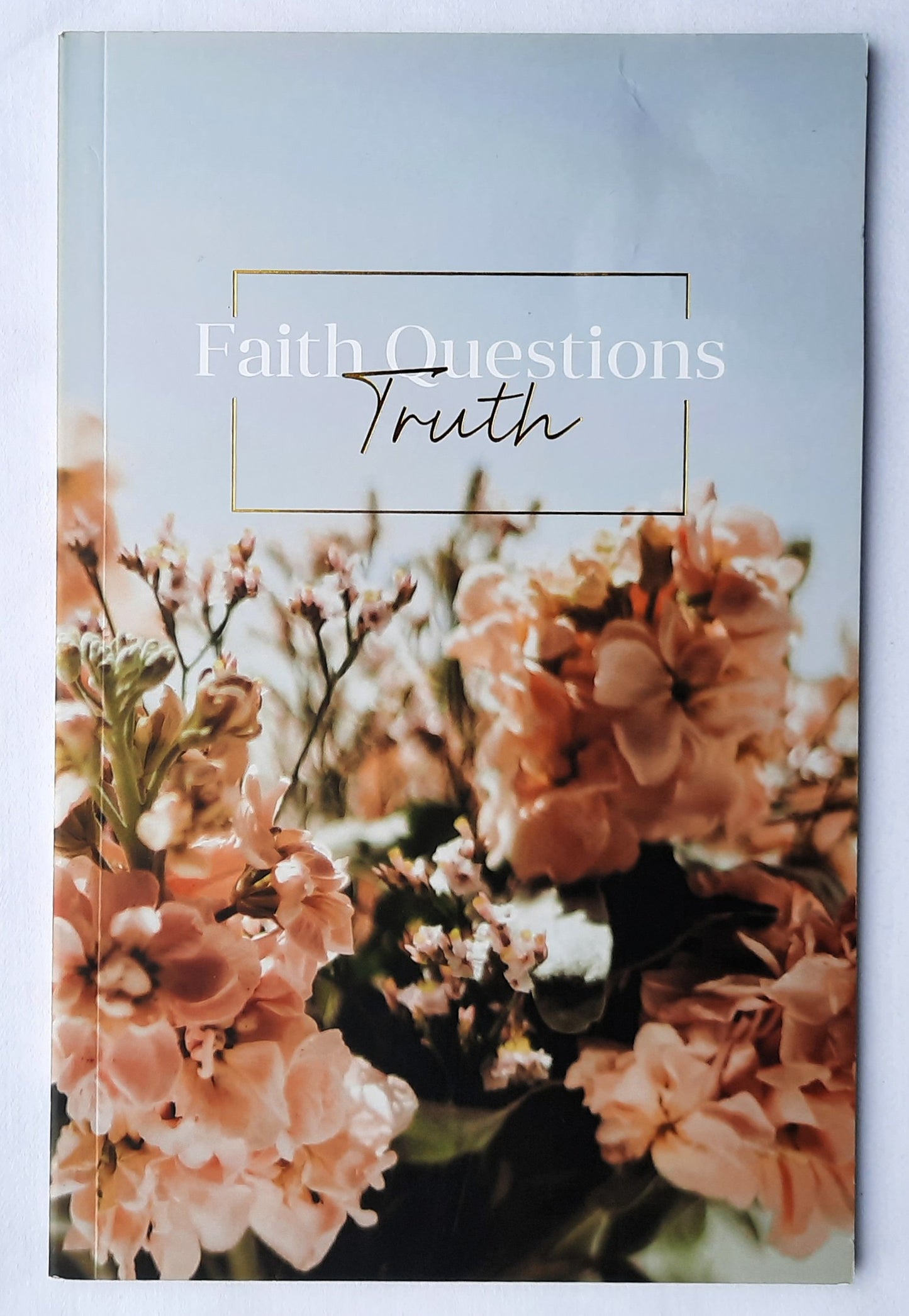 Faith Questions: Truth by Kyra Daniels (Like new, 2017, Pbk, 63 pages, The Daily Grace Co.)