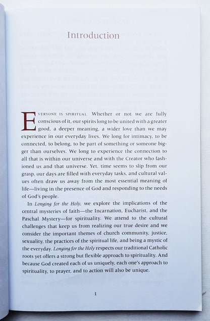 Sehnsucht nach dem Heiligen: Spiritualität für den Alltag von Ronald Rolheiser (Gut, 2011, Pbk, 162 Seiten, Renew Intl.)