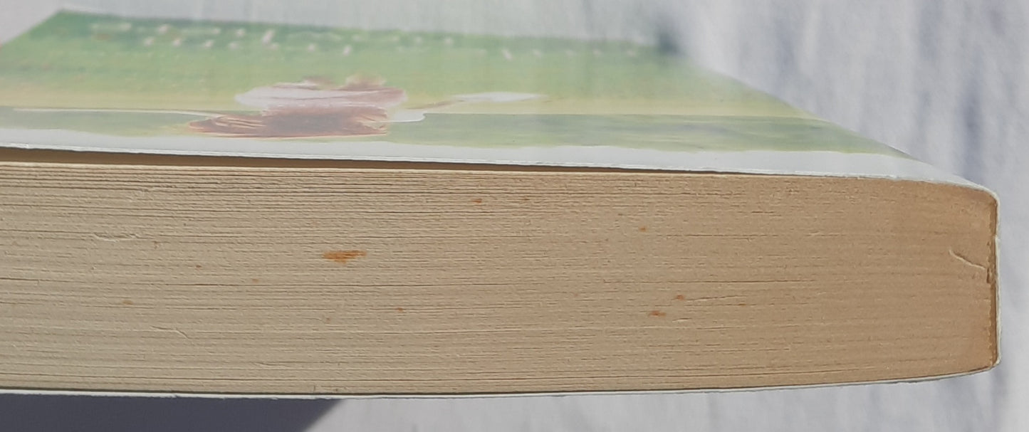 Miles From Nowhere von Amy Clipston (Wie neu, 2015, Tb, 288 Seiten, Zondervan)