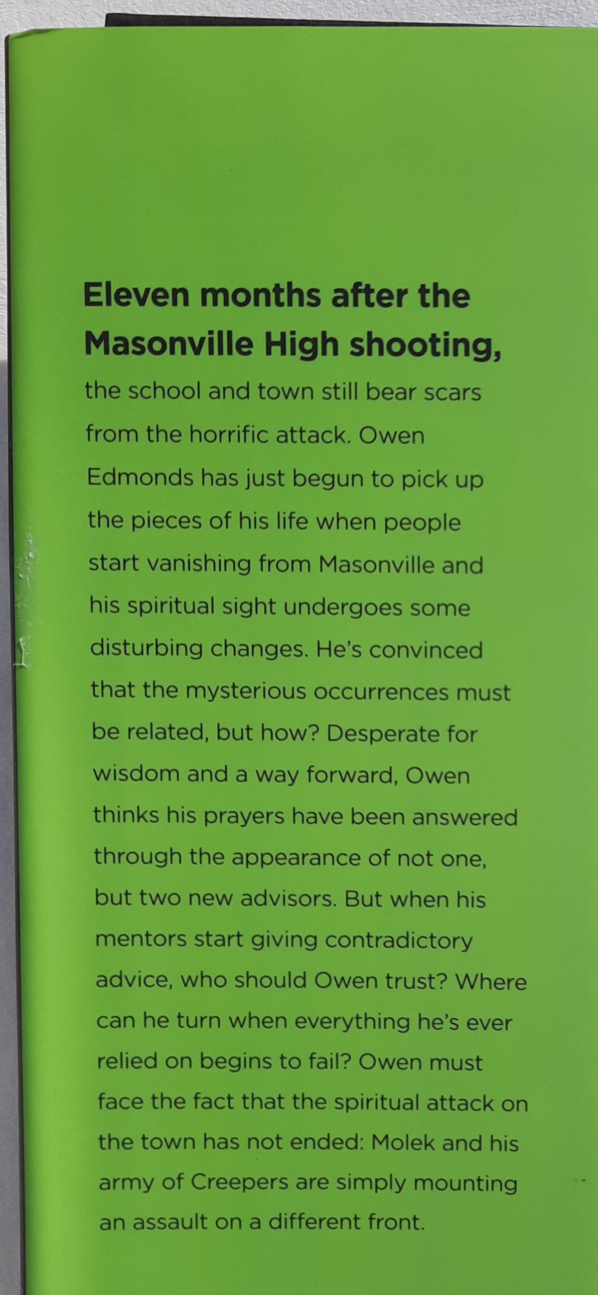 The Deception #2 by Laura Gallier (The Delusion, New, 2019, HC, 304 pages, Wander Books)