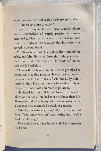 News For Dogs by Lois Duncan (Hotel for Dogs #2, Good, 2009, HC, 224 pages, Scholastic)