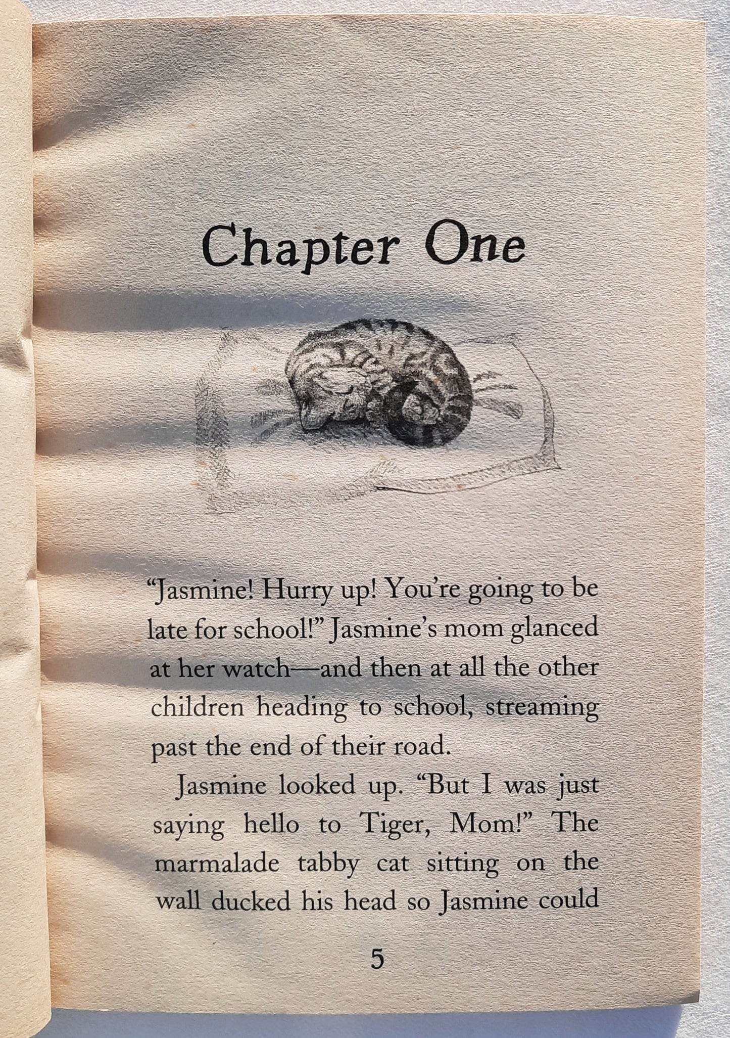 Alone in the Night by Holly Webb (Very Good, 2009, Pbk, 128 pages, Scholastic)