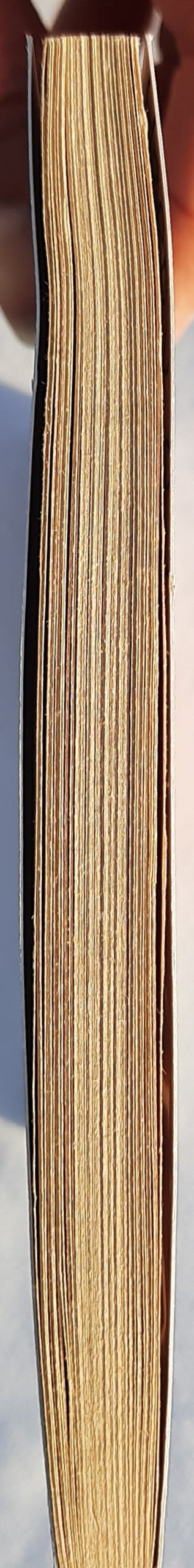 Alone in the Night by Holly Webb (Very Good, 2009, Pbk, 128 pages, Scholastic)