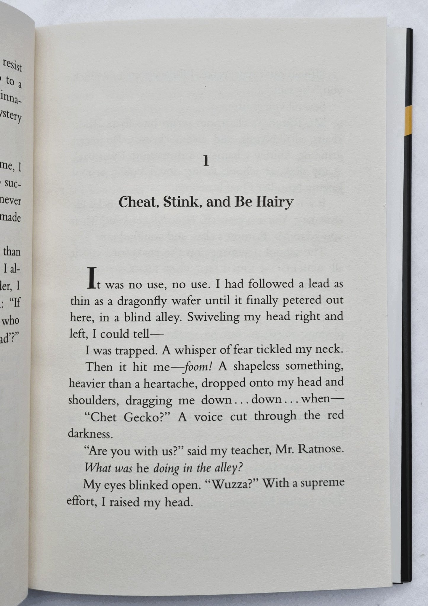 Trouble is My Beeswax #8 by Bruce Hale (Very good, 2003, HC, 128 pages, Harcourt Children)