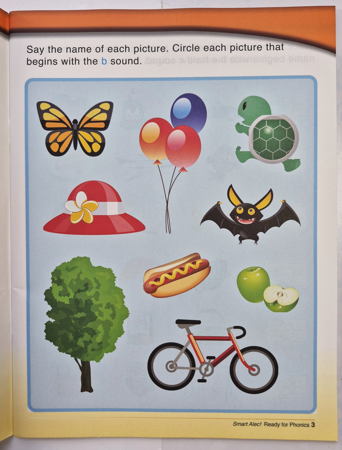 Smart Alec: Ready For Phonics Pre-K by Zarina Hazan (New, 2019, Pbk, 48 pages, Edgeucational Pub)