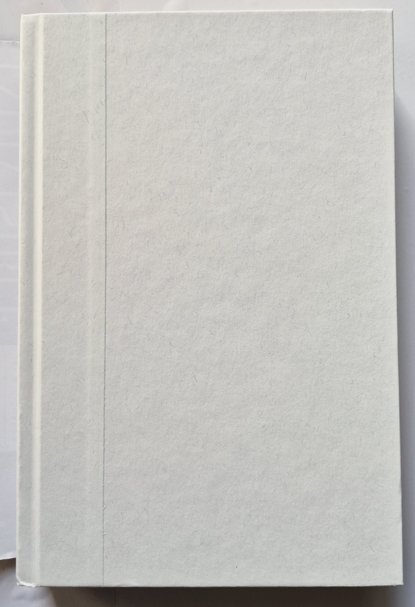 Unteilbar: Glaube, Familie und Freiheit wiederherstellen, bevor es zu spät ist von James Robison (Sehr gut, 2012, HC, 362 Seiten, FaithWords)