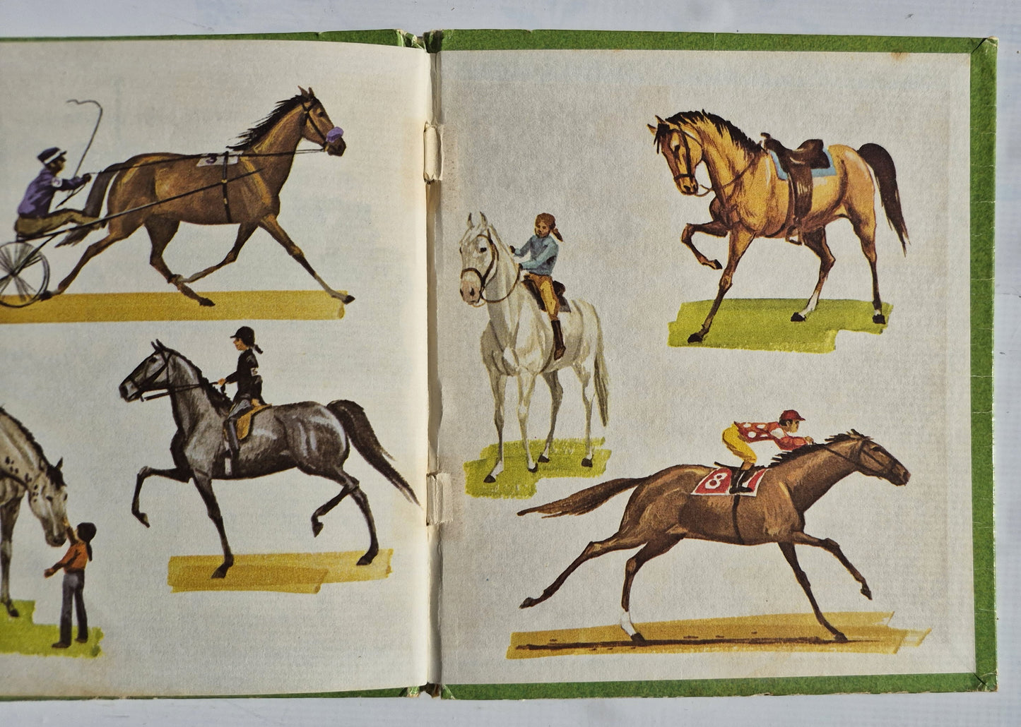 My Little Book of Horses by Jane Dwyer Walrath; Tom Dunnington (Very Good, 1974, HC, 24 pages, Whitman Tell-A-Tale)