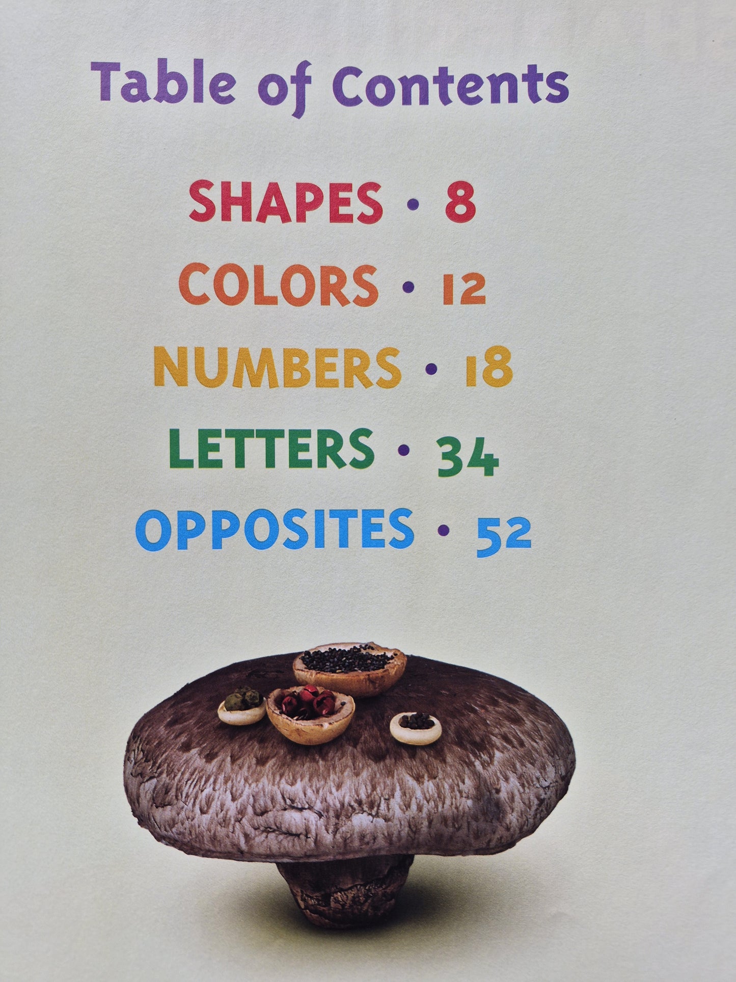 Food for Thought: The Complete Book of Concepts for Growing Minds by Saxton Freymann; Joost Elffers (Very good, 2005, Pbk, 61 pages, Scholastic)