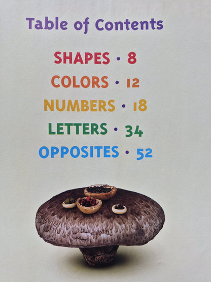 Food for Thought: The Complete Book of Concepts for Growing Minds by Saxton Freymann; Joost Elffers (Very good, 2005, Pbk, 61 pages, Scholastic)