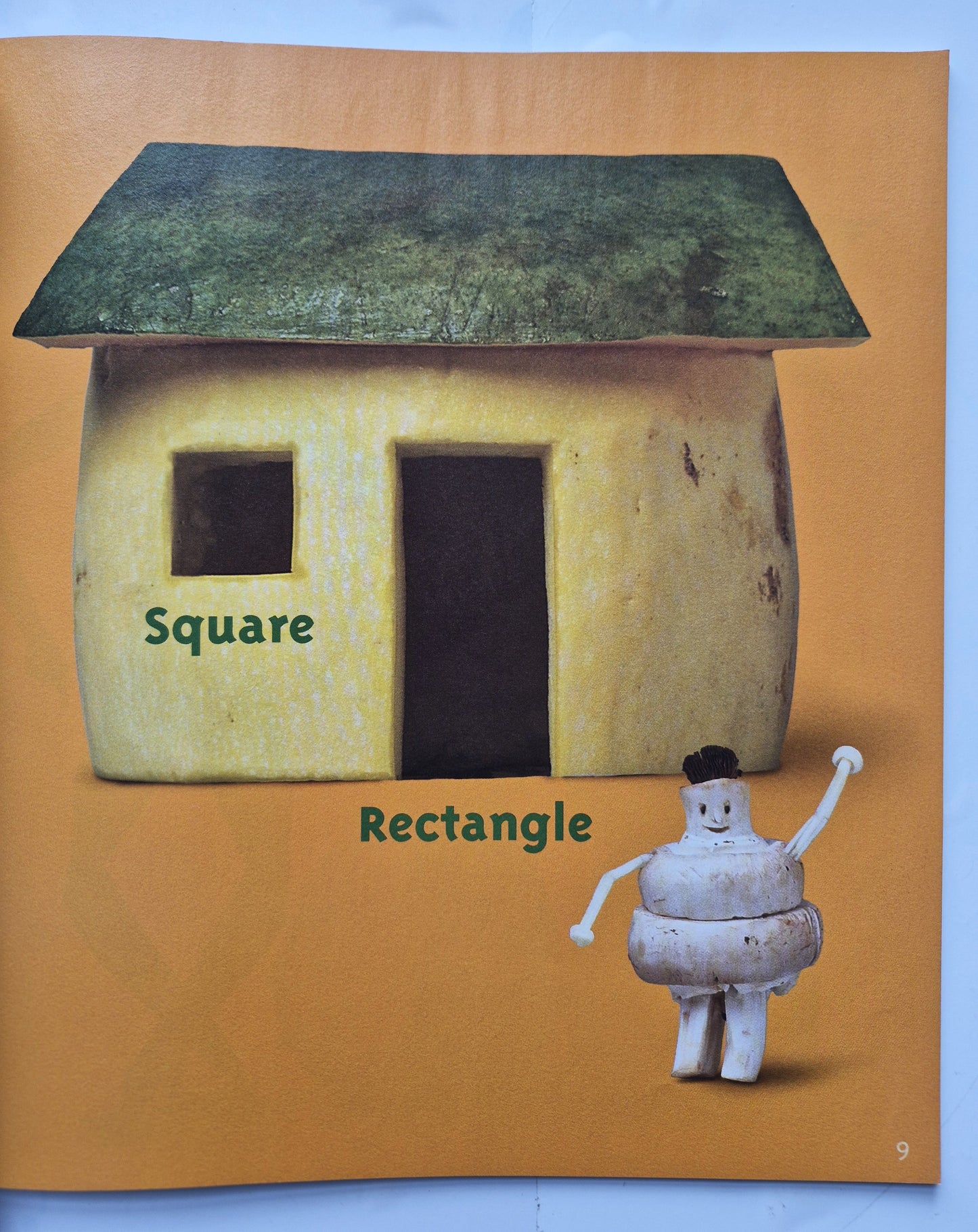 Food for Thought: The Complete Book of Concepts for Growing Minds by Saxton Freymann; Joost Elffers (Very good, 2005, Pbk, 61 pages, Scholastic)
