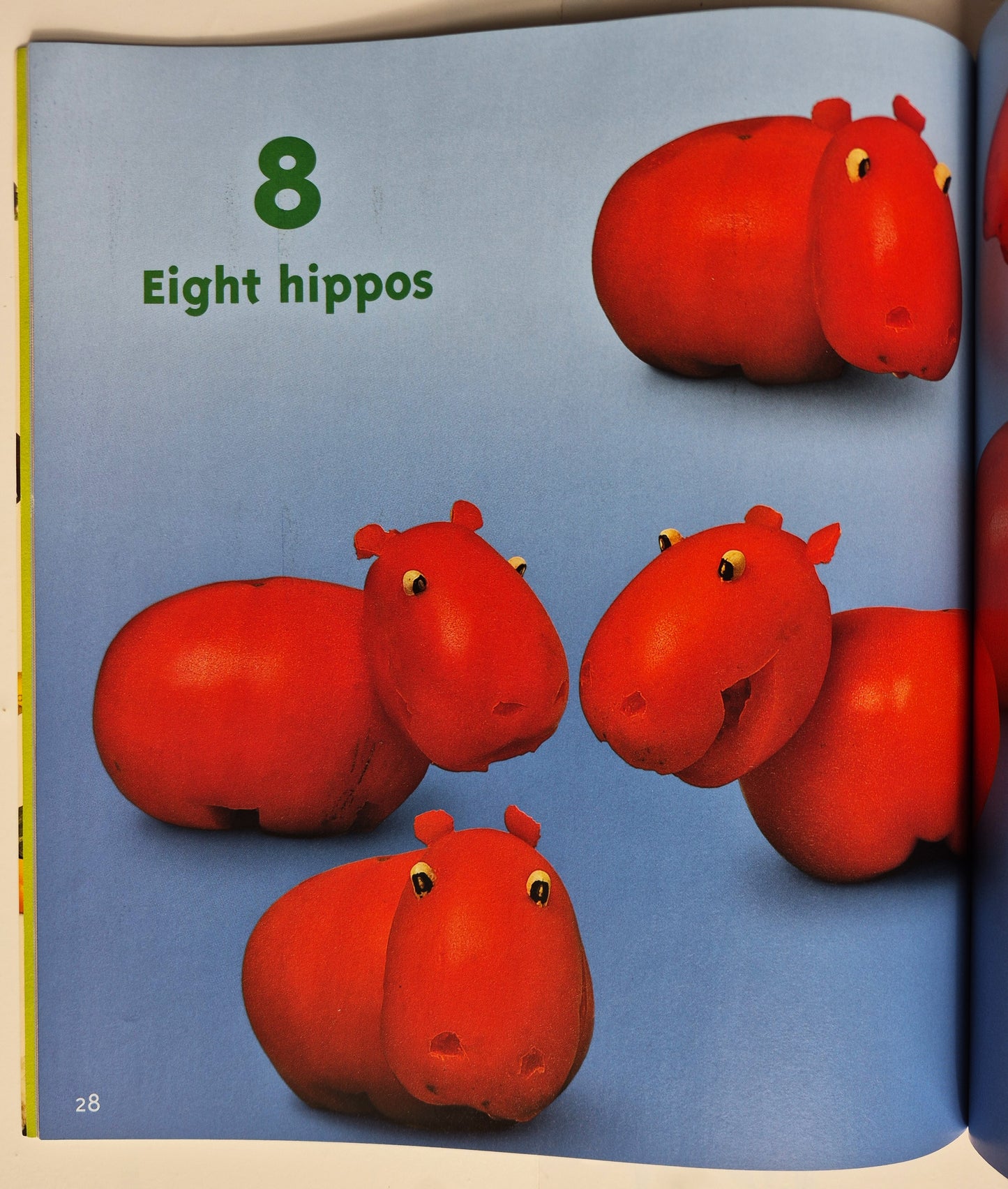 Food for Thought: The Complete Book of Concepts for Growing Minds by Saxton Freymann; Joost Elffers (Very good, 2005, Pbk, 61 pages, Scholastic)