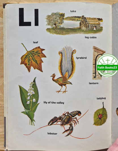 F. Rojankovsky's An Alphabet of Many Things von Feodor Rojankovsky (Gut, 1971, HC, Western Publishing Co.)