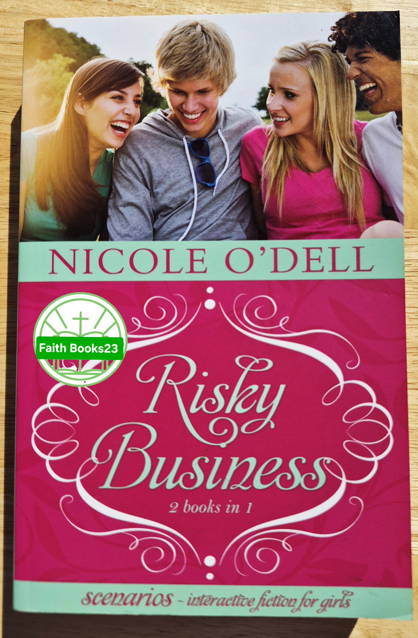 Risky Business 2-in-1 von Nicole O'Dell (Szenarien 3 & 4, Neu, 2011, Pbk, 384 Seiten, Barbour Books)