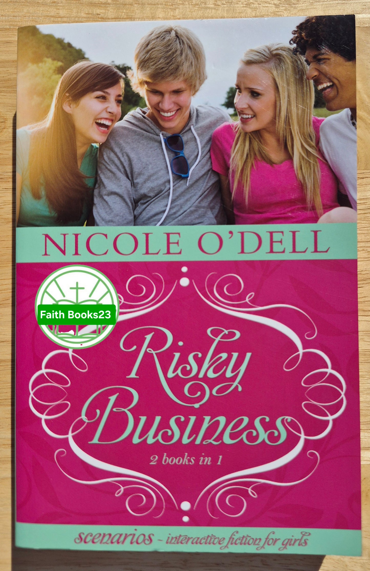 Risky Business 2-in-1 von Nicole O'Dell (Szenarien 3 & 4, Neu, 2011, Pbk, 384 Seiten, Barbour Books)