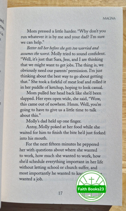 Risky Business 2-in-1 von Nicole O'Dell (Szenarien 3 & 4, Neu, 2011, Pbk, 384 Seiten, Barbour Books)