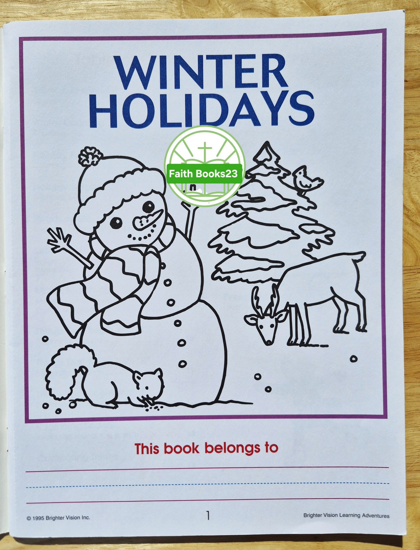 Winter Holidays von Catherine Hernandez (Sehr gut, 1995, Pbk, 24 Seiten, Brighter Vision)