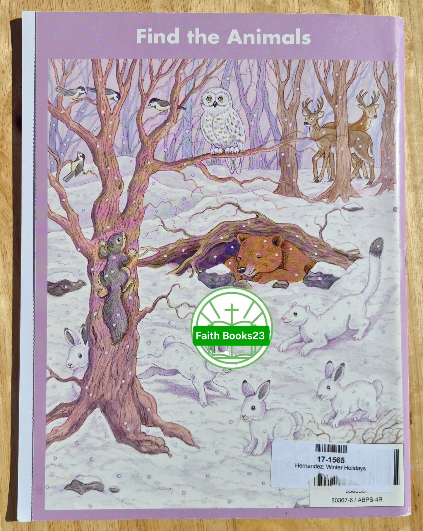 Winter Holidays von Catherine Hernandez (Sehr gut, 1995, Pbk, 24 Seiten, Brighter Vision)