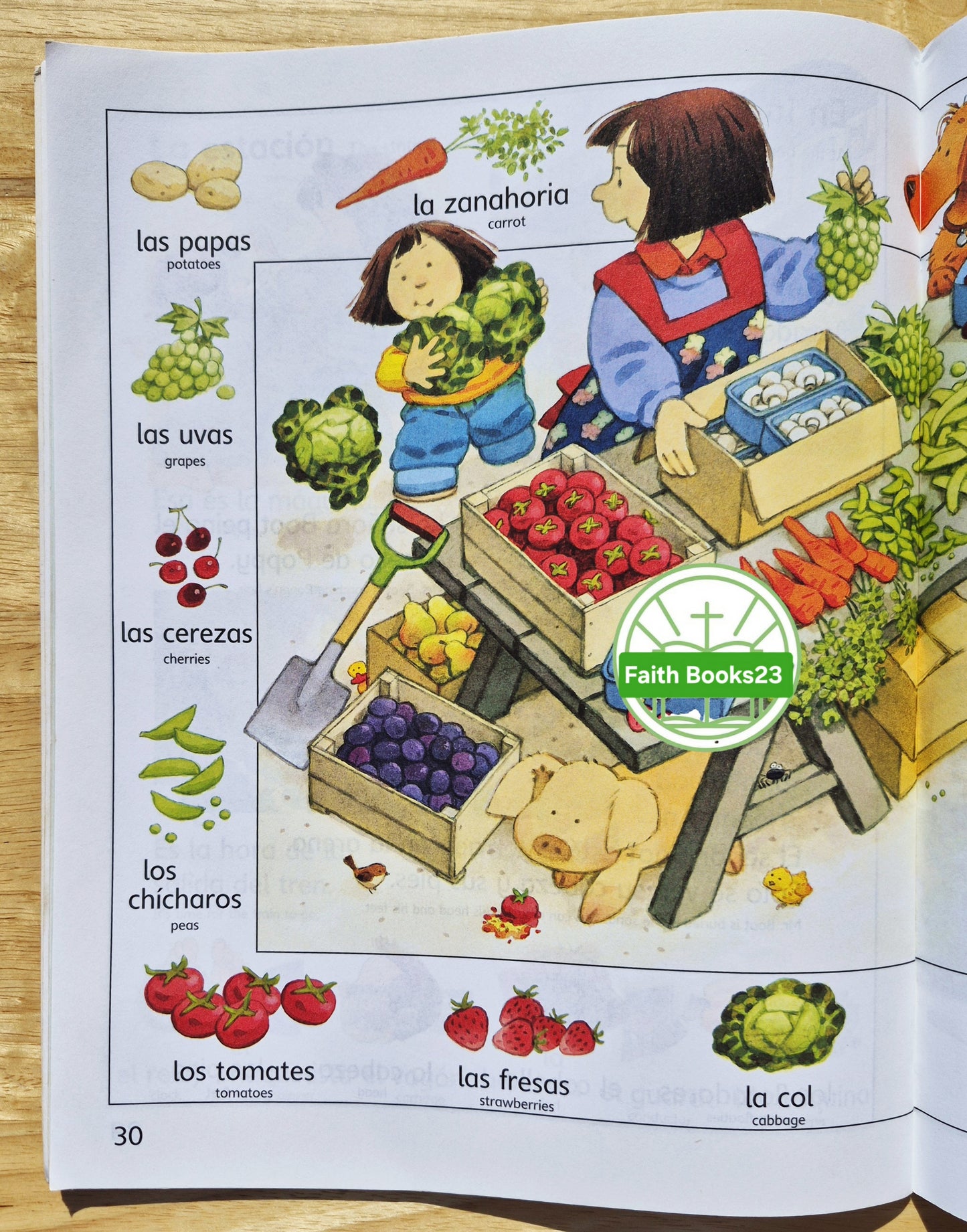 Usborne Farmyard Tales: First Spanish Word Book von Heather Amery; Stephen Cartwright (Sehr gut, 2007, Taschenbuch, 48 Seiten, Scholastic)