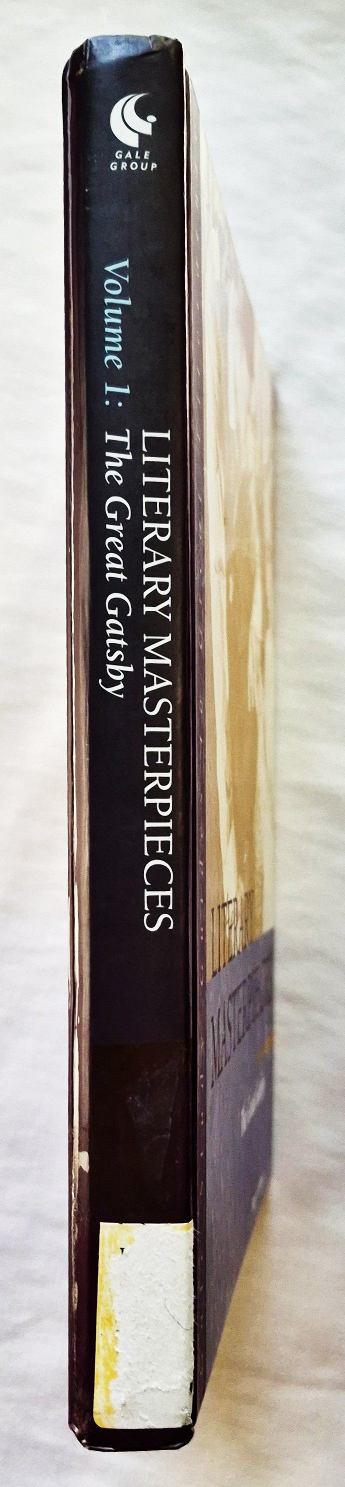 Literarische Meisterwerke Bd. 1: Der große Gatsby von Roger Lathbury (Sehr gut, 2000, HC, 204 S., The Gale Group)