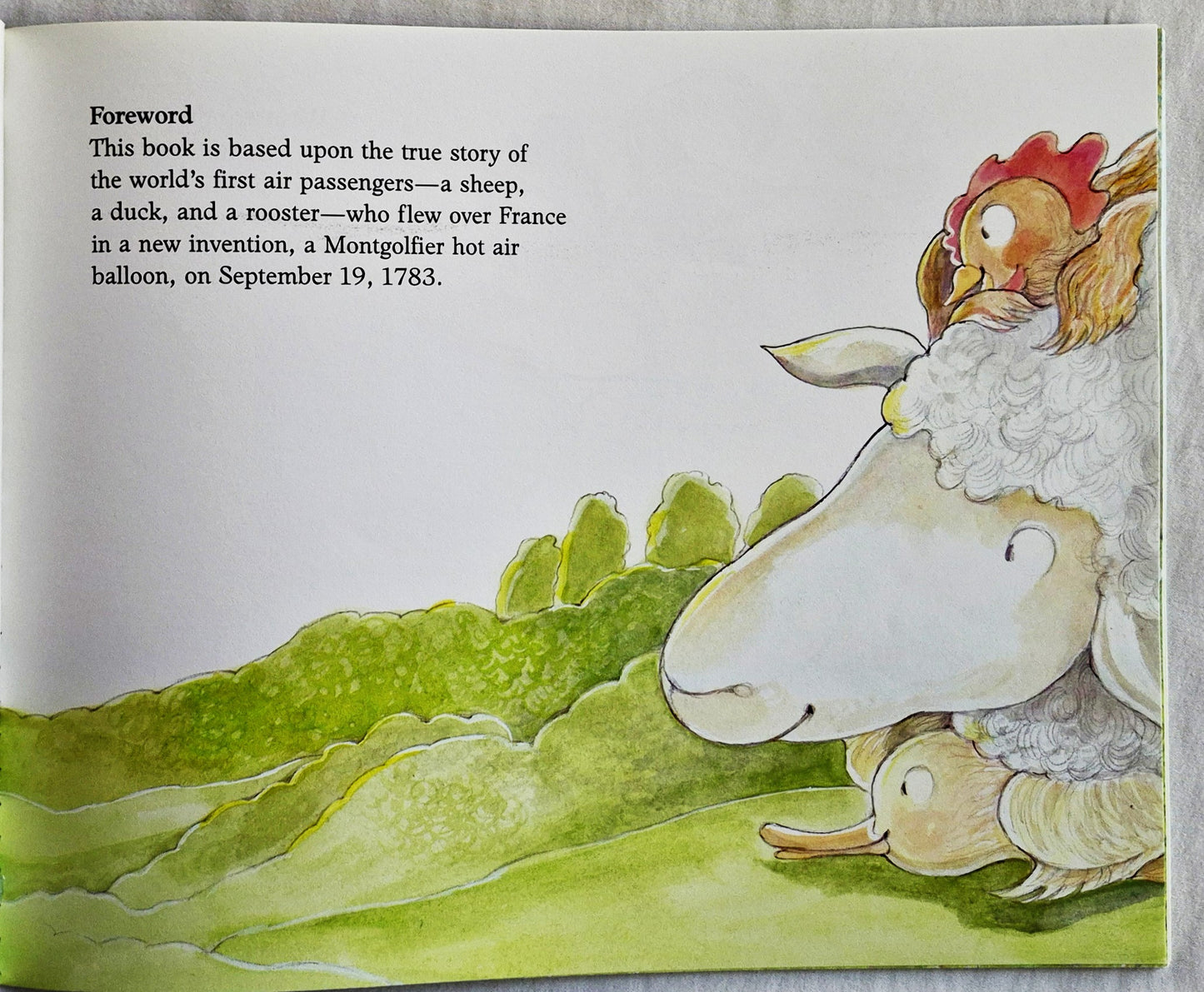 Three in a Balloon von Sarah Wilson (Sehr gut, 1990, Taschenbuch, 38 S., Scholastic)