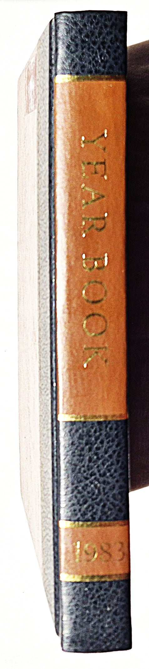 Das World Book Jahrbuch 1983 (Sehr gut, 1978, gebunden, 608 Seiten, World Book-Childcraft)