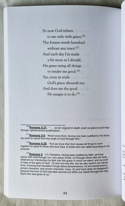 A Gospel Primer for Christians von Milton Vincent (Sehr gut, 2008, Pbk, 97 Seiten, Focus Publishing)