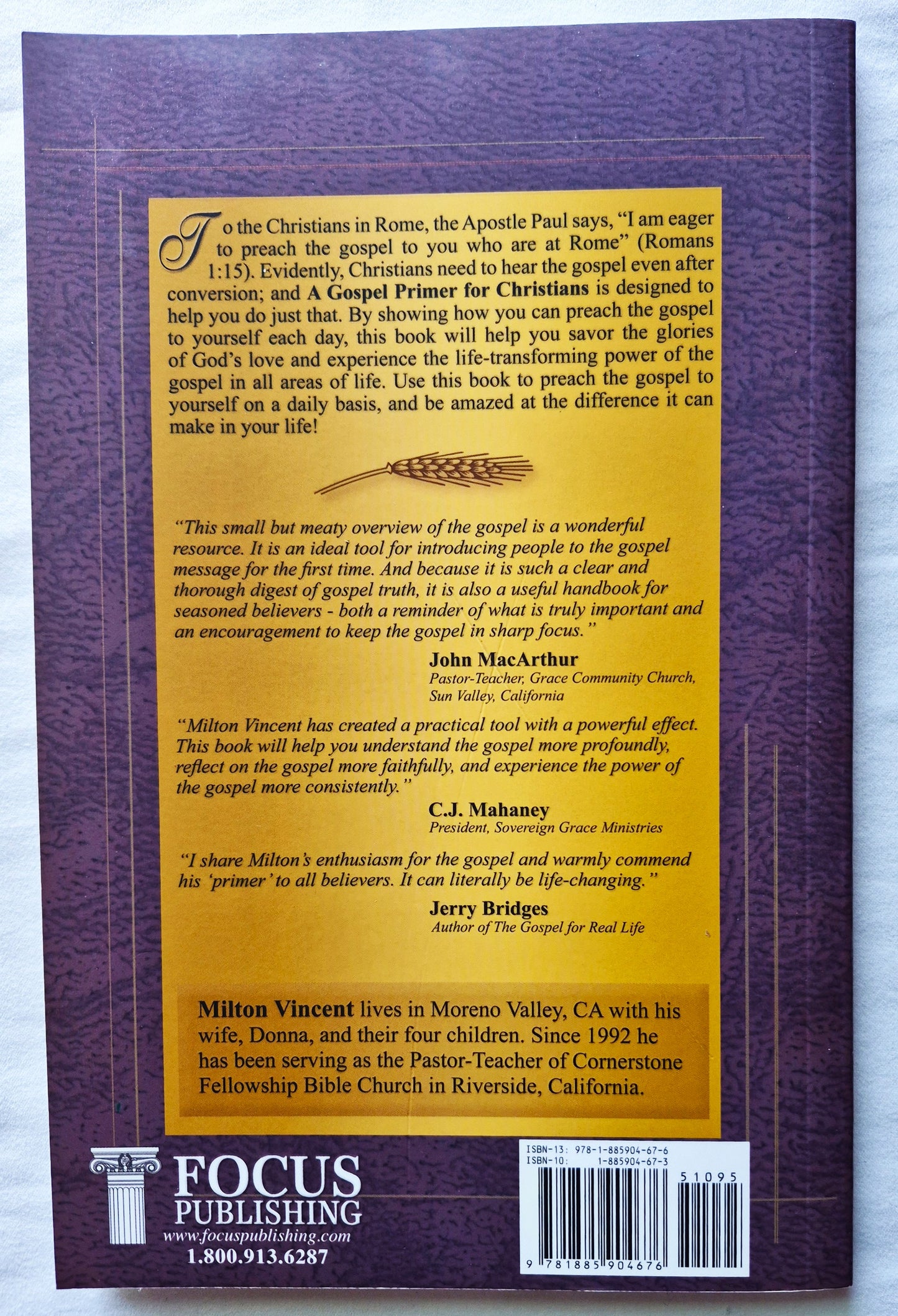 A Gospel Primer for Christians von Milton Vincent (Sehr gut, 2008, Pbk, 97 Seiten, Focus Publishing)