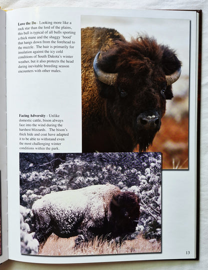 Tatanka: Four Seasons of Custer State Park von Mike Wolforth; Dwaine Tollefsrud (Neu, 2006, HC, 48 S., Fenske Media Corp)