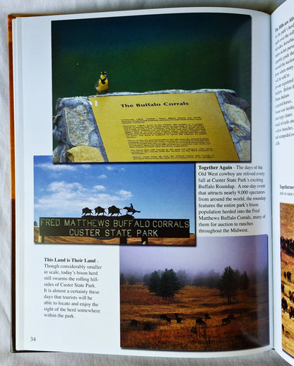 Tatanka: Four Seasons of Custer State Park von Mike Wolforth; Dwaine Tollefsrud (Neu, 2006, HC, 48 S., Fenske Media Corp)