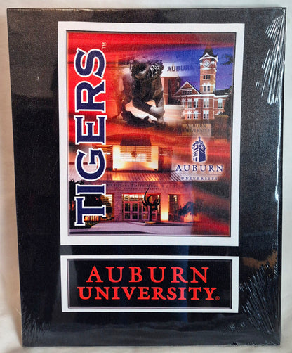 Auburn University Tigers 11x14 Leinwand Wandbehang Sport Deko NEU