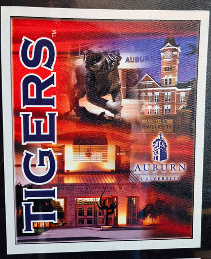 Auburn University Tigers 11x14 Leinwand Wandbehang Sport Deko NEU