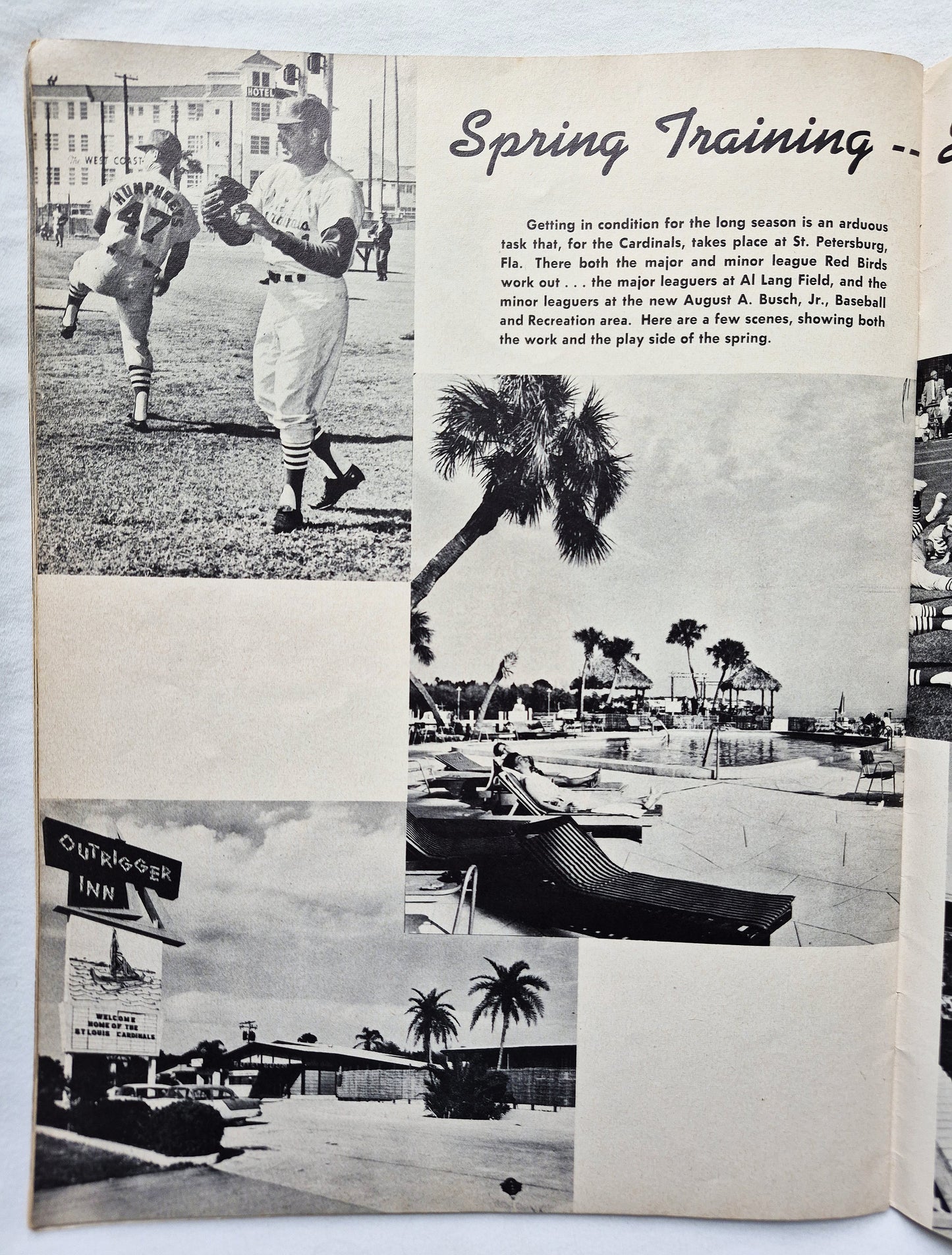 1965 St. Louis Cardinals Baseball World Champions 1965 Yearbook Gibson Brock (Good, Pbk)