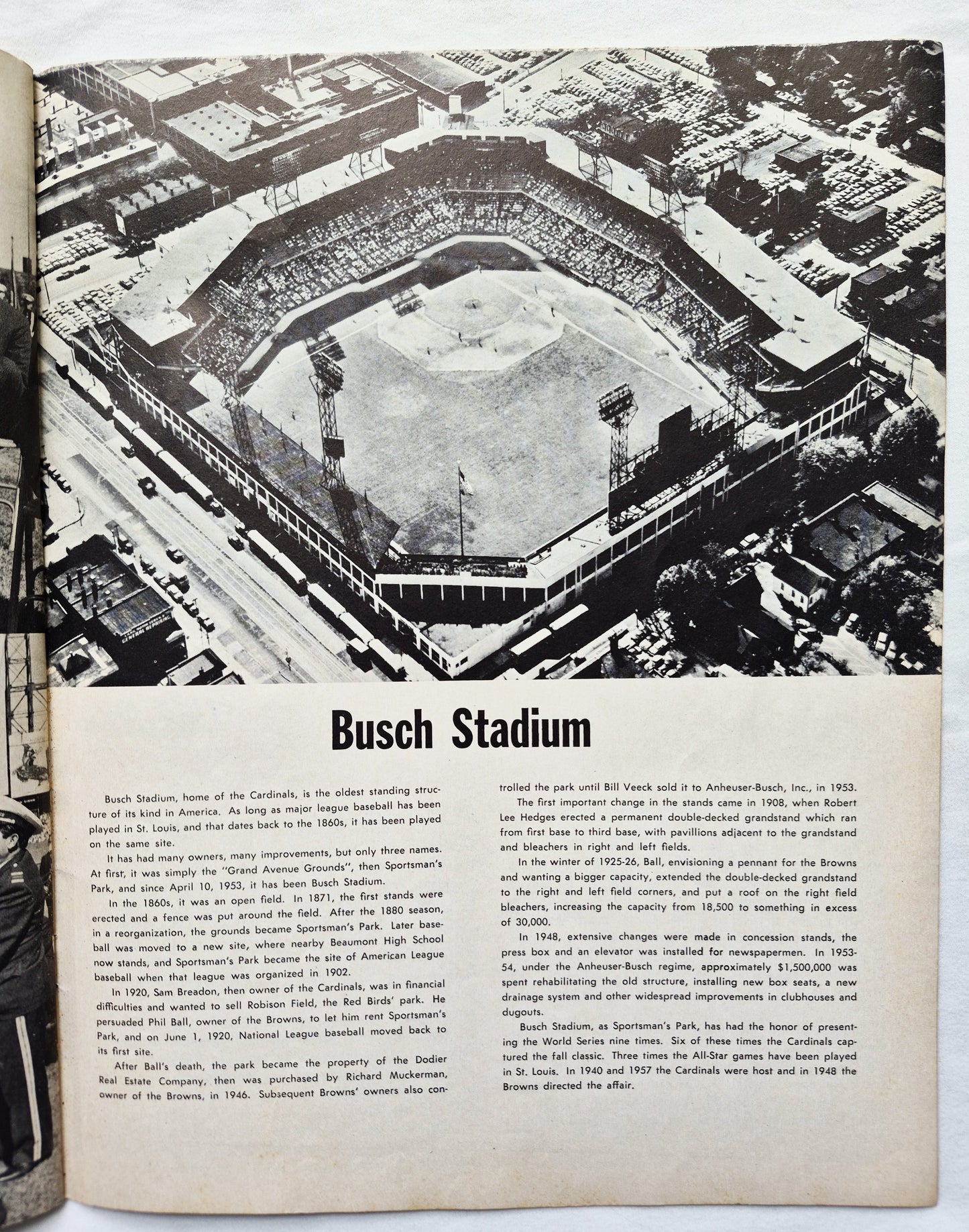 1964 St. Louis Cardinals Baseball Yearbook Gibson McCarver Flood Javier (Good Pbk)