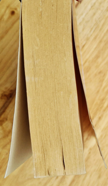 Die Verheißung von Gestern #2 von Linda Lee Chaikin (East of the Sun, Gut, 2004, Taschenbuch, WaterBrook, 368 Seiten)