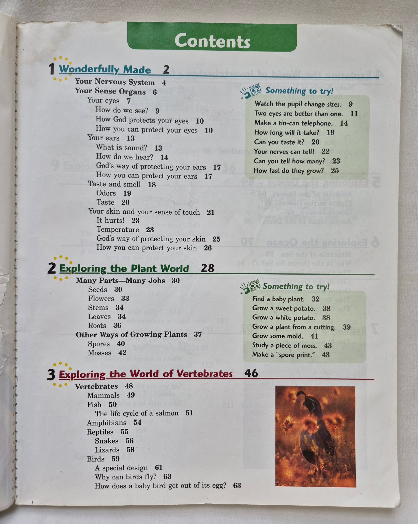 Abeka Exploring God's World Fourth Ed. Grade 3 Textbook (Good, 2006, Pbk, 168 pages, A Beka Book)